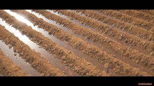 Ресурспак Pulchra Revisited [128x] для minecraft 1.12.2/1.11.2