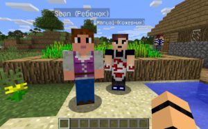 Мод на Семью и детей Comes Alive (+ русификатор) для minecraft 1.12.2, 1.7.10 Мод на Семью и детей Comes Alive (+ русификатор) для minecraft 1.12.2, 1.7.10