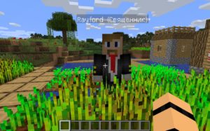 Мод на Семью и детей Comes Alive (+ русификатор) для minecraft 1.12.2, 1.7.10 Мод на Семью и детей Comes Alive (+ русификатор) для minecraft 1.12.2, 1.7.10