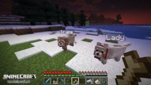 Мод на приручаемых волков - Sophisticated Wolves для minecraft 1.12.2 1.11.2 1.10.2 1.9 1.8 1.7.10 1.6.4 1.5.2