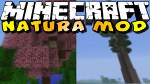 Мод Natura для minecraft 1.12.2 1.11.2 1.10.2 1.7.10 1.7.2 1.6.4 1.5.2