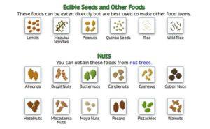 Много новых растений - мод Plant Mega Pack для minecraft 1.12.2 1.9.4 1.8.9 1.8 1.7.10 1.7.2 1.6.4