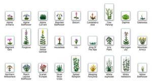 Много новых растений - мод Plant Mega Pack для minecraft 1.12.2 1.9.4 1.8.9 1.8 1.7.10 1.7.2 1.6.4