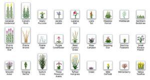 Много новых растений - мод Plant Mega Pack для minecraft 1.12.2 1.9.4 1.8.9 1.8 1.7.10 1.7.2 1.6.4