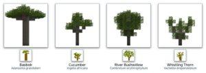 Много новых растений - мод Plant Mega Pack для minecraft 1.12.2 1.9.4 1.8.9 1.8 1.7.10 1.7.2 1.6.4