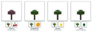 Много новых растений - мод Plant Mega Pack для minecraft 1.12.2 1.9.4 1.8.9 1.8 1.7.10 1.7.2 1.6.4