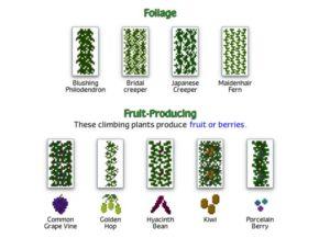 Много новых растений - мод Plant Mega Pack для minecraft 1.12.2 1.9.4 1.8.9 1.8 1.7.10 1.7.2 1.6.4