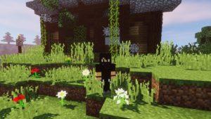 Карта острова с домом для майнкрафт 1.13.2, 1.12.2