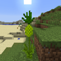 Мод Tropicraft 1.20.1, 1.19.2, 1.18.2, 1.16.5, 1.15.2, 1.12.2, 1.7.10