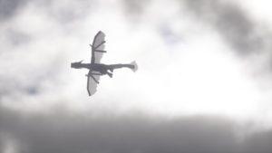 Мод на Драконов - Ice and Fire для майнкрафт 1.18.2, 1.17.1, 1.16.5, 1.15.2, 1.12.2