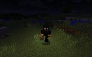 Мод на факел в руке - Dynamic Lights для майнкрафт 1.13.2 - 1.5.2 Мод на факел в руке - Dynamic Lights для майнкрафт 1.13.2 - 1.5.2