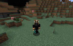 Мод Just Mob Heads для minecraft 1.16.3, 1.15.2, 1.14.4, 1.12.2