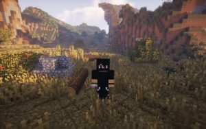 Сборка на выживании в природе майнкрафт 1.12.2 (100 модов)