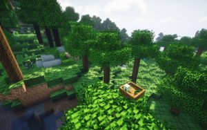 Сборка на выживании в природе майнкрафт 1.12.2 (100 модов) Сборка на выживании в природе майнкрафт 1.12.2 (100 модов)