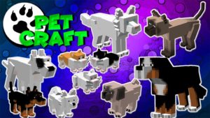 Мод на домашних животных PetCraft для майнкрафт 1.12.2
