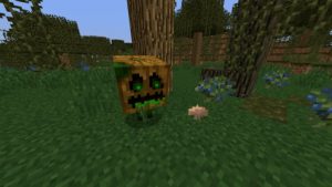 Мод Traitor’s Better Swamplands 1.15.2, 1.14.4, 1.12.2