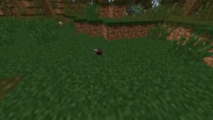 Мод Traitor’s Better Swamplands 1.15.2, 1.14.4, 1.12.2