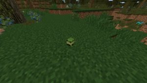 Мод Traitor’s Better Swamplands 1.15.2, 1.14.4, 1.12.2