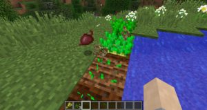 Мод Reap для minecraft 1.20.6, 1.19.4, 1.18.2, 1.16.5, 1.15.2, 1.14.4, 1.12.2