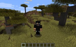 Сид около деревень и океана для Майнкрафт 1.14.4