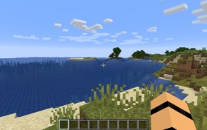 Сид около деревень и океана для Майнкрафт 1.14.4