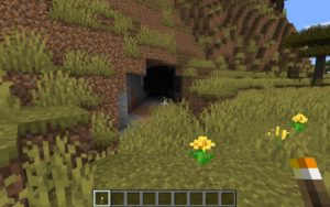 Сид около деревень и океана для Майнкрафт 1.14.4