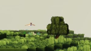 Мод на Птиц The Birdwatching для minecraft 1.12.2 Мод на Птиц The Birdwatching для minecraft 1.12.2