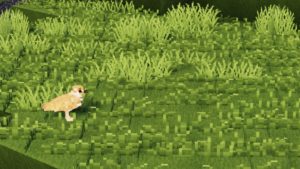 Мод на Птиц The Birdwatching для minecraft 1.12.2 Мод на Птиц The Birdwatching для minecraft 1.12.2