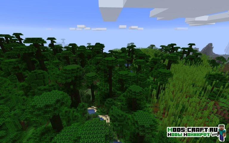 Бамбуковый лес, джунгли и океан [1.14.4]