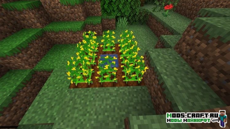 Мод на арахис - Peanuts для minecraft 1.14.4