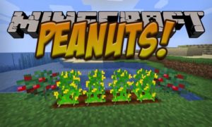 Мод на арахис - Peanuts для minecraft 1.14.4