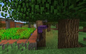 Мод на развитие деревни Tektopia для minecraft 1.12.2