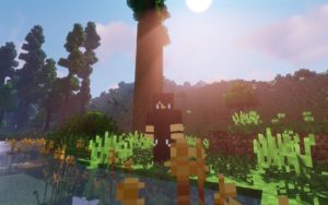 Реалистичная сборка - RealMine (30 модов) 1.12.2 Реалистичная сборка - RealMine (30 модов) 1.12.2