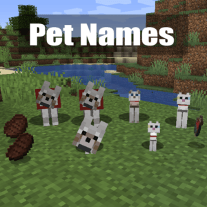 Мод на имена у мобов Pet Names для minecraft 1.14.4, 1.12.2