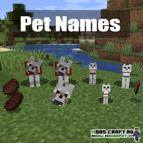 Мод на имена у мобов Pet Names для minecraft 1.14.4, 1.12.2 Мод на имена у мобов Pet Names для minecraft 1.14.4, 1.12.2