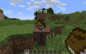 Мод Villager Names для minecraft 1.16.4, 1.15.2, 1.14.4, 1.12.2 Мод Villager Names для minecraft 1.16.4, 1.15.2, 1.14.4, 1.12.2