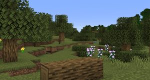 Мод Traverse 1.20.4, 1.19.4, 1.18.2, 1.17.1, 1.16.5, 1.15.2, 1.14.4, 1.12.2