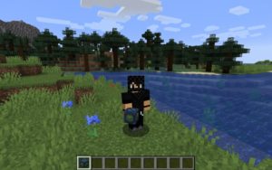 Мод на защиту от мобов Mob Blocker для minecraft 1.14.4, 1.12.2