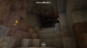Реалистичные текстуры NaturalRealism [16x] для minecraft 1.14.4, 1.12.2