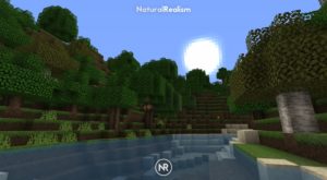 Реалистичные текстуры NaturalRealism [16x] для minecraft 1.14.4, 1.12.2