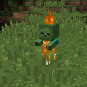 Мод Quark для minecraft 1.16.5, 1.15.2, 1.14.4, 1.12.2