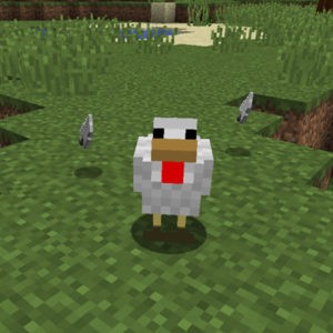 Мод Quark для minecraft 1.16.5, 1.15.2, 1.14.4, 1.12.2