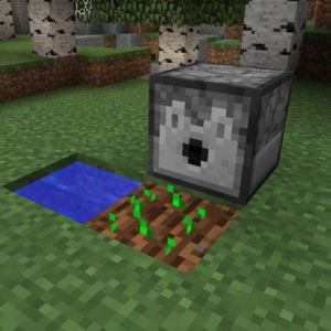 Мод Quark для minecraft 1.16.5, 1.15.2, 1.14.4, 1.12.2