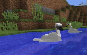 Мод Exotic Birds для майнкрафт 1.20.1, 1.19.4, 1.18.2, 1.16.5, 1.15.2, 1.12.2