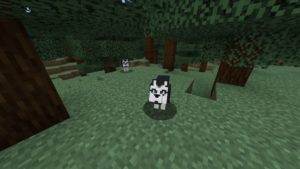Мод на собак - More Dogs для minecraft 1.15.2, 1.14.4