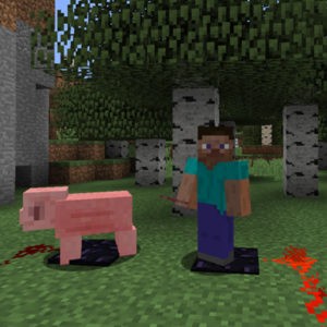 Мод Quark для minecraft 1.16.5, 1.15.2, 1.14.4, 1.12.2