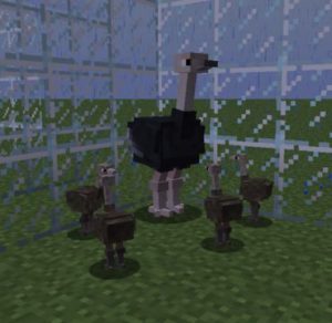 Мод Exotic Birds для майнкрафт 1.20.1, 1.19.4, 1.18.2, 1.16.5, 1.15.2, 1.12.2