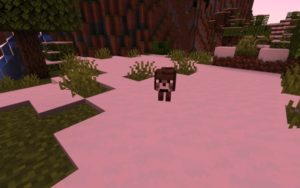 Сборка на магию и приключения 1.14.4 (40 модов)