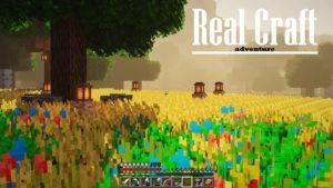 Ресурспак Real Craft [16x] 1.15.2, 1.14.4, 1.12.2
