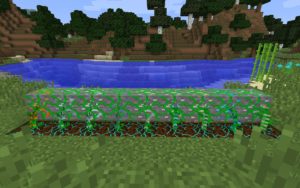 Мод Resynth 1.16.5, 1.15.2, 1.14.4, 1.12.2